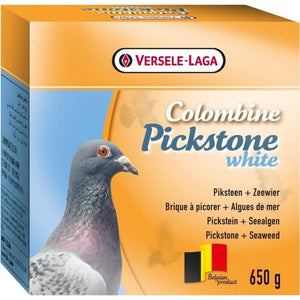 Colombine Pickstone White