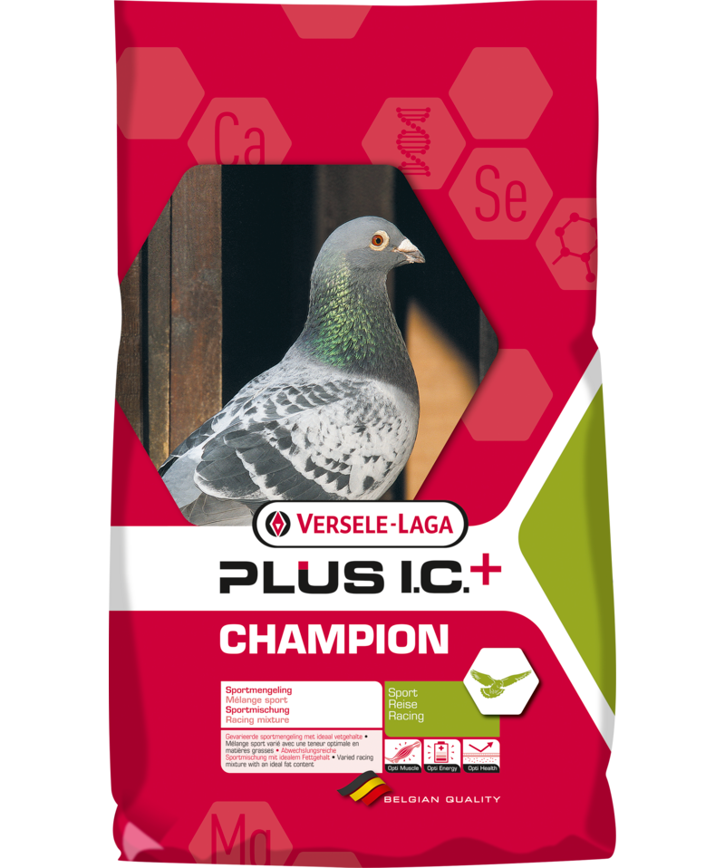 Champion Plus