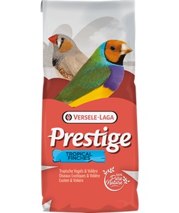Prestige Australian Waxbills