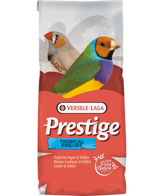 Prestige Australian Waxbills